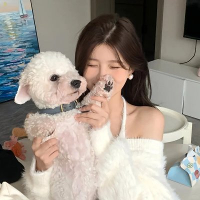 动物出击
